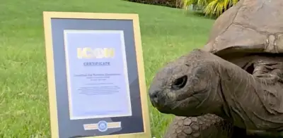 Tortuga Jonathan, de 194 años, entra al Salón de los Íconos Guinness