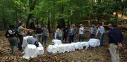 17 primates regresan a la selva en Chiapas tras ser rescatados del tráfico ilegal