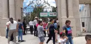 Abejas obligan a cerrar panteón en Saltillo en pleno Día del Padre; 10 lesionados