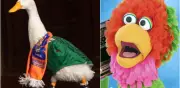 Abelardo de Plaza Sésamo pide conocer al Pato Merlín, ave viral del Mundial