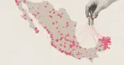 Airbnb expande su negocio en México: domina 59% de municipios