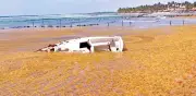 Alerta en Caribe mexicano por gases tóxicos del sargazo en descomposición