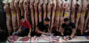 Argentina crece 2.3% en primer trimestre de 2026; persiste debilidad social