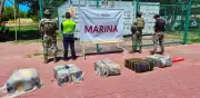 Aseguran 270 kilos de cocaína en puerto de Manzanillo