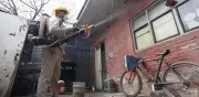 Aumentan a 2 mil 286 los casos de dengue en México durante 2026