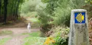 Camino de Santiago: rutas, historia y consejos para peregrinos