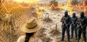Campo mexicano en terapia intensiva: cambio climático, abandono y crimen