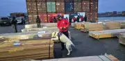 Chile incauta más de 100 toneladas de cocaína en el mayor decomiso de su historia