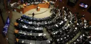 Desbandada en el Senado: 11 legisladores dejan sus escaños para buscar gubernaturas