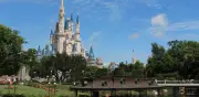 Disney retira 414 caimanes tras muerte de niño en 2016