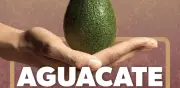 Entregan reconocimiento de Indicación Geográfica a aguacate michoacano