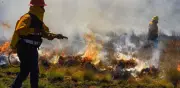 Estudiantes del IPN crean app con IA para prevenir incendios forestales