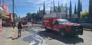 Evacúan escuela en Hidalgo tras ataque de abejas a más de 20 estudiantes