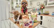Exportaciones de alimento para mascotas en México crecen 7.5 veces en una década