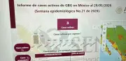 Gusano barrenador en Nuevo León: primer caso en fauna silvestre reportado