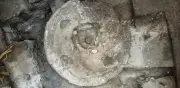 Hallan altar maya Okox en El Tigre con posibles sacrificios humanos