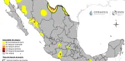 Lluvias eliminan sequía extrema y excepcional en México; 88.3% del país libre