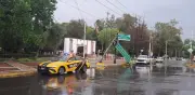 Lluvias en Durango dejan árboles caídos y semáforos dañados