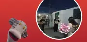 Mariachis tocan canciones de 31 Minutos para quinceañera y se viralizan en TikTok