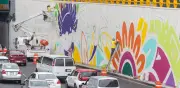 MC exige frenar la 'ajolotización' de la CDMX por violar norma vial