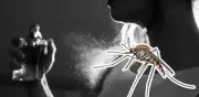 Olores que atraen mosquitos: evita estos perfumes para no ser picado