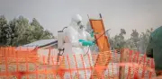 OMS probará dos tratamientos contra el ébola en la RDC