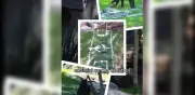 Osas negras de zoológicos de CDMX se unen al Mundial con mini cancha de fútbol