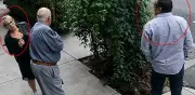 Pareja roba cartera a adulto mayor con engaño de popo de pájaro en CDMX