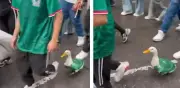 Pato con uniforme del Tri y zapatos conquista aficionados tras triunfo de México
