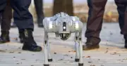 Perros robot: de espectáculo a aliados industriales clave