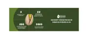 Pistaches: beneficios para salud cardiovascular, cognitiva e intestinal