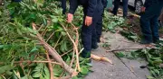 Rama bloquea acceso a escuela para niños con discapacidad en CDMX