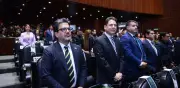 Reforma constitucional de bienestar animal es clave contra ataques de jaurías: PVEM