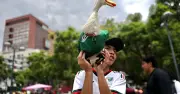 Registro IMPI: qué puedes proteger y qué no, lecciones del Pato Merlín