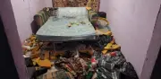 Rescatan a niña y perro tras denuncia de maltrato animal en Edomex