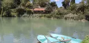 Rescatan Presa Azul en Hidalgo; eliminan plaga de lirio acuático
