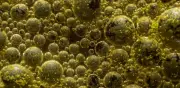 Retiran quesos por listeria; investigan muerte en brote en EE.UU.