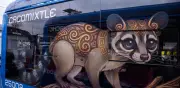Ruta y tiempo del trolebús Animales Silvestres en CDMX