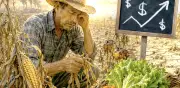 Seguridad alimentaria de México en riesgo por cambio climático y falta de apoyos
