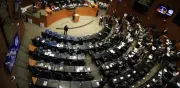 Suplentes del Senado cobran hasta 187 mil pesos como asesores y funcionarios