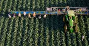Trabajo forzoso y migración laboral elevan riesgo comercial del agro en T-MEC