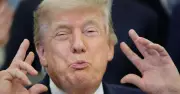 Trump celebrará sus 80 años con combate UFC de 60 mdd en la Casa Blanca