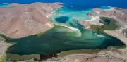 Vacaciones de verano en La Paz, BCS: una travesía inolvidable por el Golfo de California