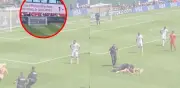 Video falso de aficionada en Mundial 2026 revela ser creado por IA