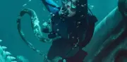 Whalefall: Tráiler, trama y fecha de estreno en cines y Disney Plus