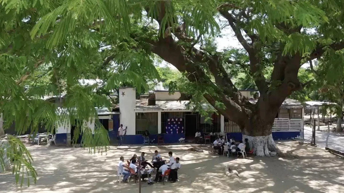 Escuela en Juchitán da clases bajo un árbol por calor extremo