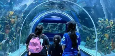 Acuario Michin lanza horarios extendidos y precios dinámicos este verano