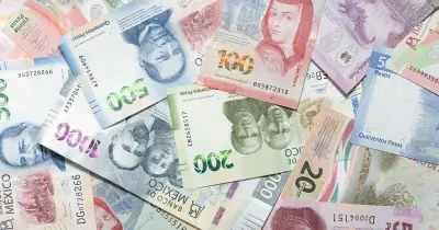 Afore: tipos de retiros parciales por matrimonio y desempleo
