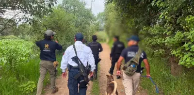 Amplían búsqueda de trabajadores de CFE desaparecidos en Hidalgo y Puebla