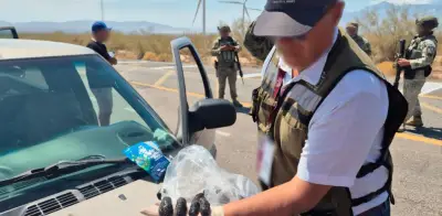 Asegurados casi 3 mil pepinos de mar en Baja California por Profepa